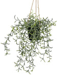Artificial Hanging Senecio