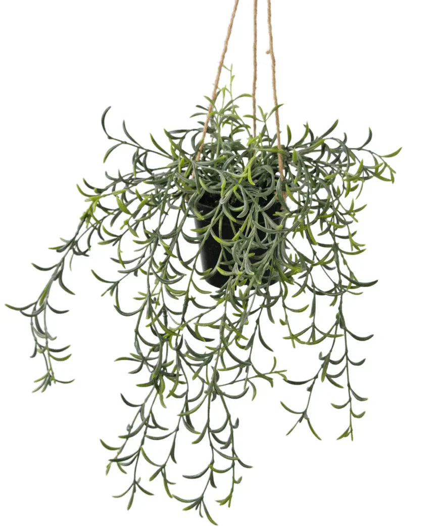 Artificial Hanging Senecio