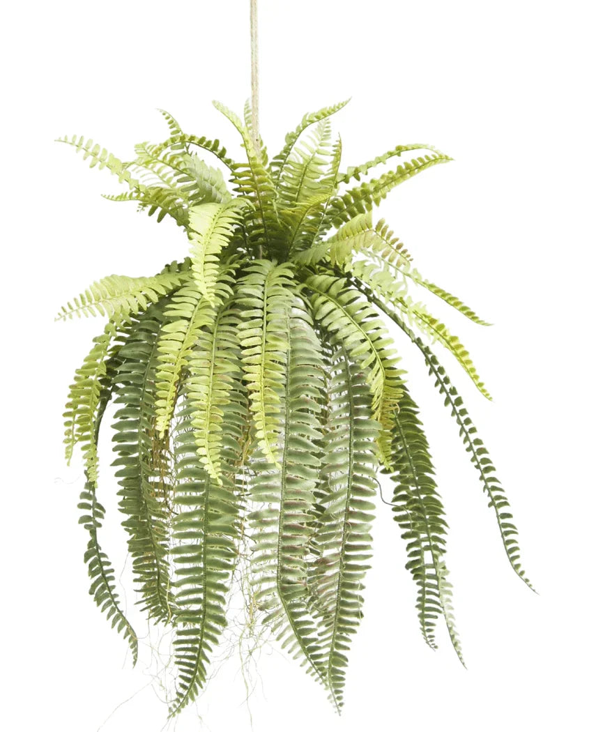Artificial Hanging Fern on Ball