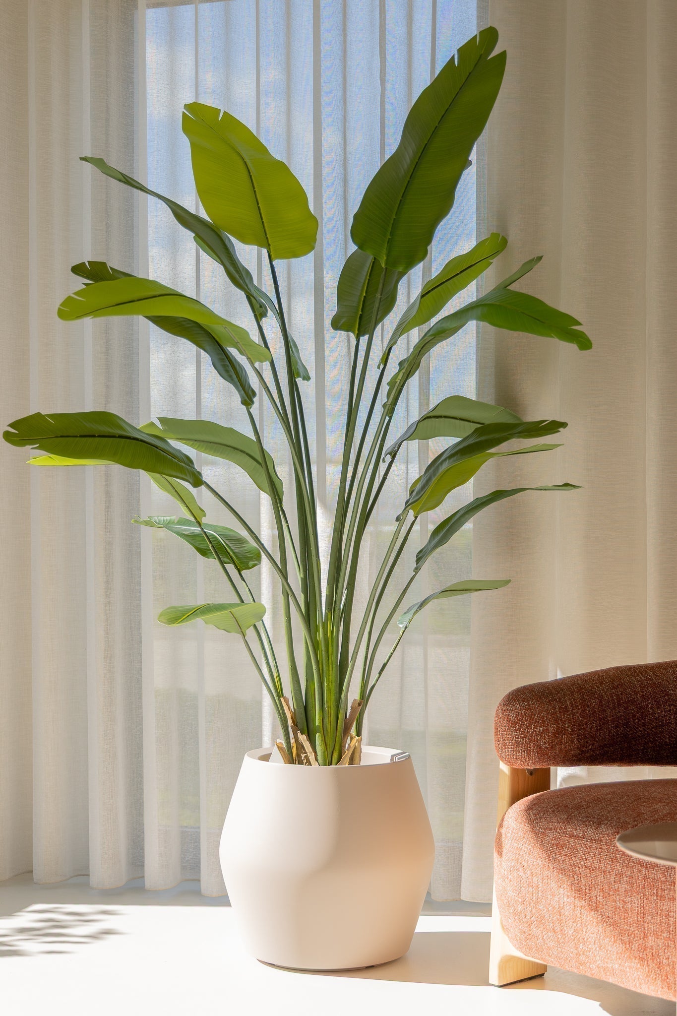 Artificial Strelitzia Plant
