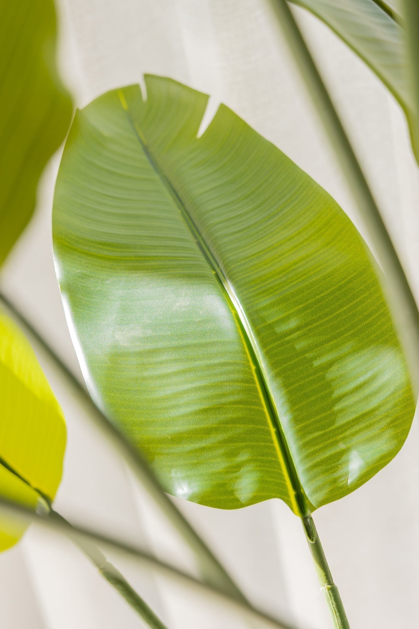 Artificial Strelitzia Plant