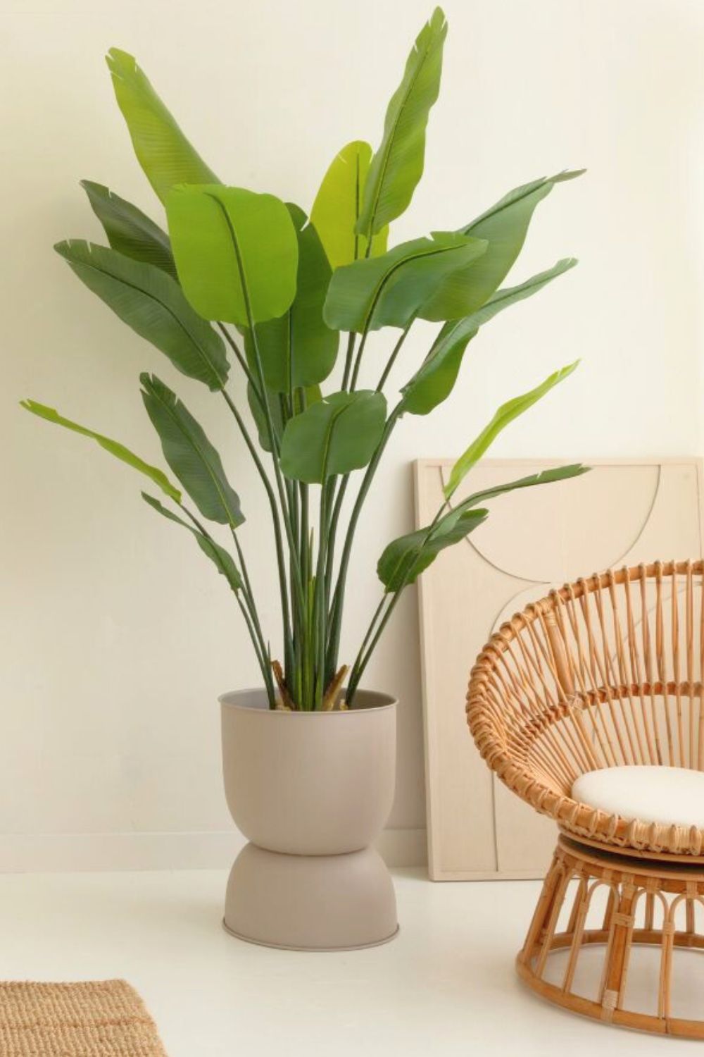Artificial Strelitzia Plant