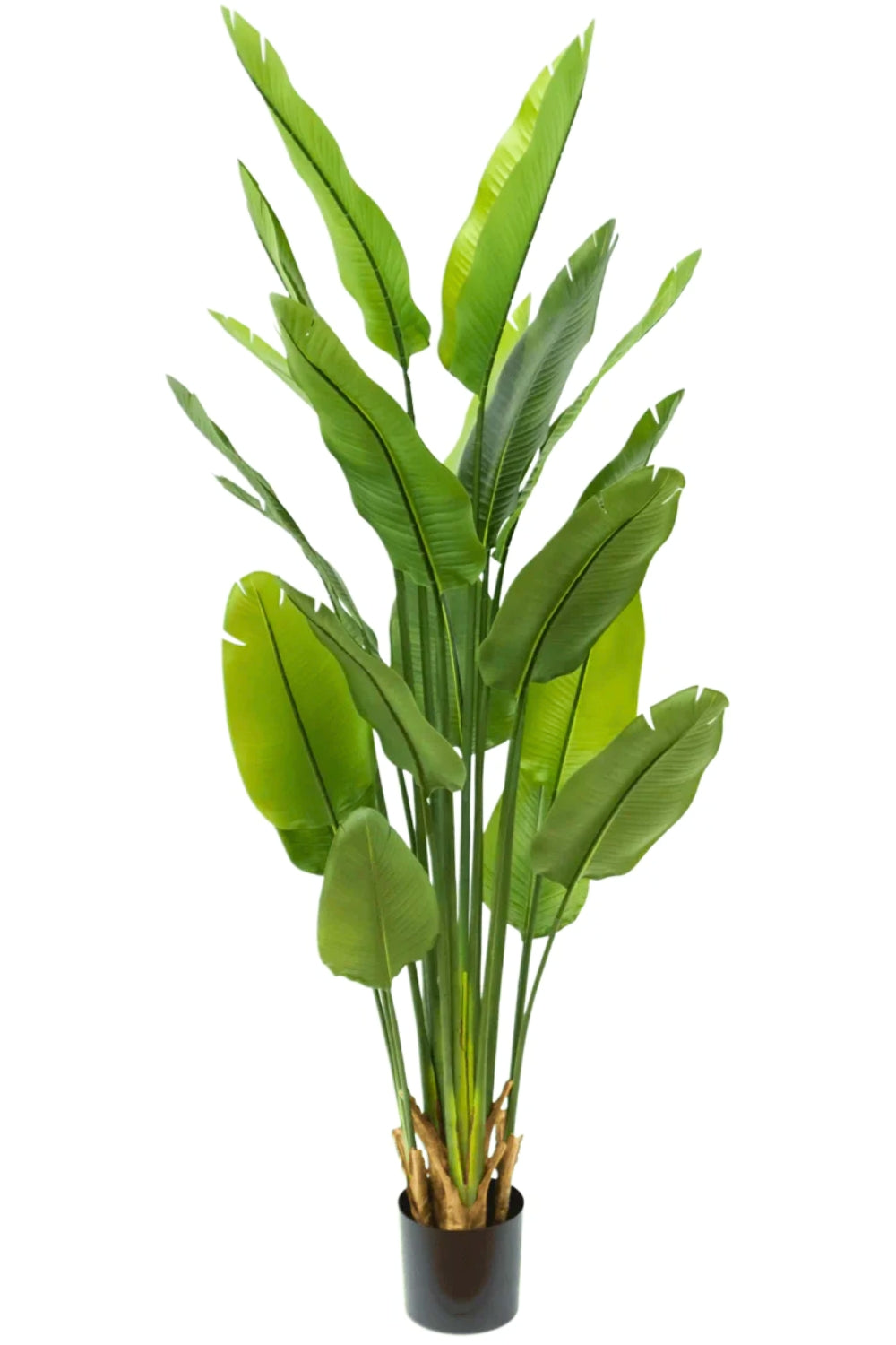 Artificial Strelitzia Plant