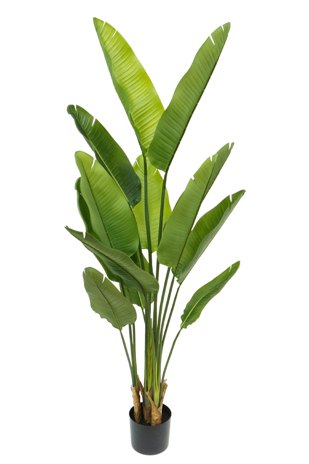 Artificial Strelitzia Plant
